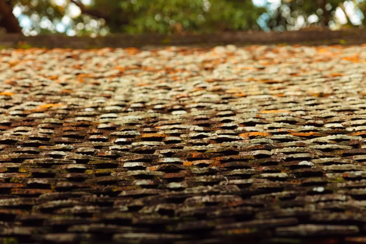 Roof Coatings & Sealing in Rome, GA